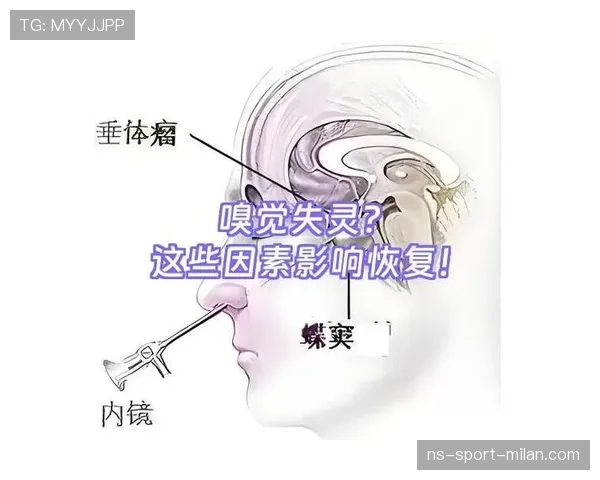 乔纳森·戴维禁区嗅觉解析：顶级终结能力的核心竞争力